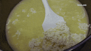 GIF by Dead Set on Life