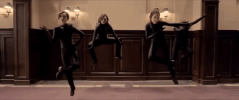 kung fu fly GIF