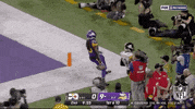 Minnesota Vikings Football GIF by NFL
