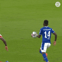 Champions League Wow GIF by FC Bayern Munich