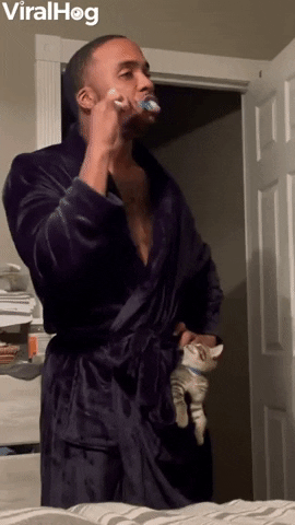 Cat Dad Carries Around His Two Rescue Kittens GIF by ViralHog