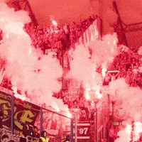 Rts GIF by Widzew Łódź