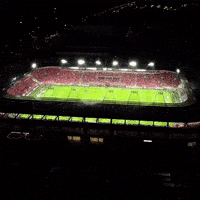 Football Soccer GIF by Widzew Łódź