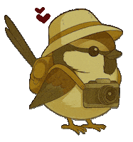 Bird Vogel Sticker by mahoniemoni
