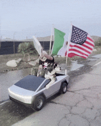 Mexico Flag Dog GIF by SWAGGY WOLFDOG
