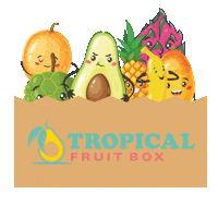 newtropicalfruitbox fruit box tropical fruit tropical fruit box tropicalfruitbox Sticker