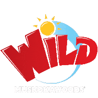 Camp Kidscamp Sticker by Muskoka Woods