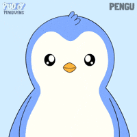 Excited Trading Cards GIF by Pudgy Penguins