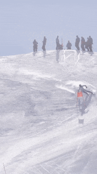Team Usa Olympics GIF by U.S. Ski & Snowboard Team