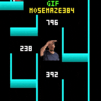 Maze 384 Mose GIF