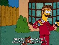 Season 2 GIF by The Simpsons
