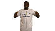 Link Click Sticker by FC Zürich