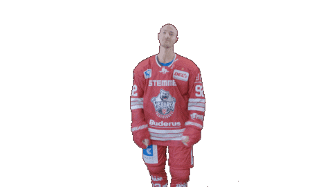 Hockey Family Sticker by Eisbären Regensburg
