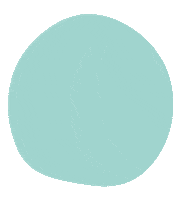 Color Celeste Sticker by Privout