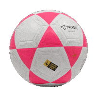 Bola Futevolei Sticker by Dalebol