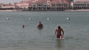 James Bond F1 GIF by McLaren