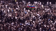 Azerbaijan Flag Ufc GIF by Studo