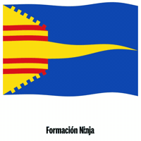 Flag Spain GIF by Formación Ninja