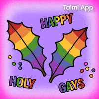 Gay Happy Holidays GIF by Taimi
