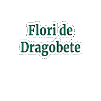 florariamagnolia dragobete floraria magnolia floraria magnolia dragobete flori de dragobete Sticker
