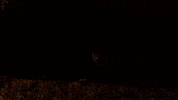 Out Of The Shadows Hello GIF by BANDAI NAMCO Entertainment