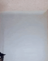Jumping New Year GIF by JustViral.Net