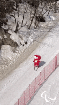 Paralympic Games GIF by International Paralympic Committee