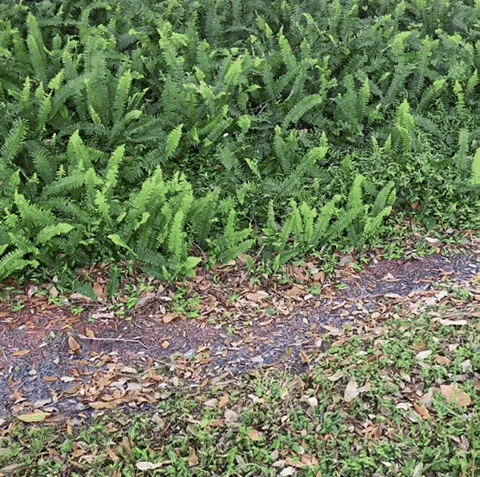 watchgrindr giphyupload GIF