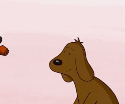 Episode 19 GIF by CBS All Access