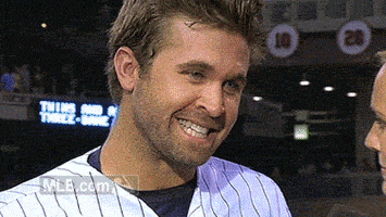 minnesota twins baseball GIF by MLB