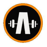 Israel Sticker by Anshel Fitness