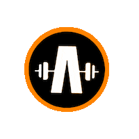 Workout Sticker by Anshel Fitness