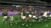 World Cup Sport GIF by World Rugby