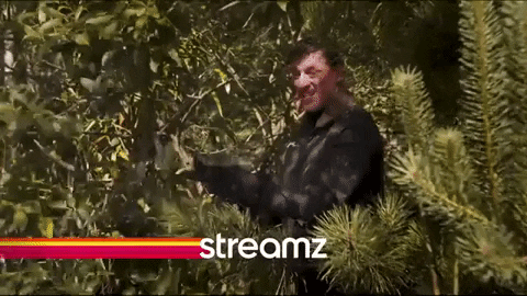 moviepulpbe giphygifmaker fair trade streamz peter van den begin GIF