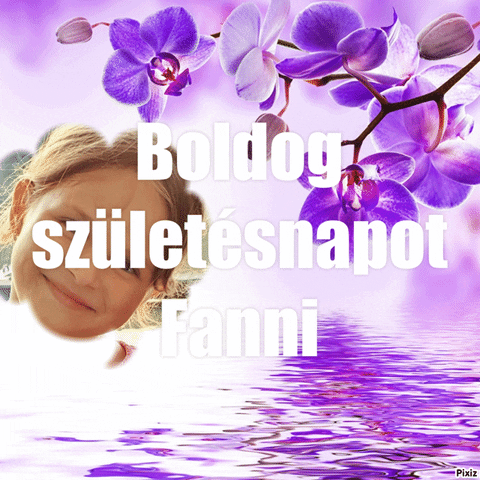 genifee giphyupload GIF