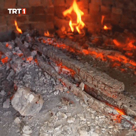 Fire Cooking GIF by TRT