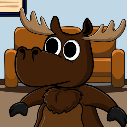DoYouMoose giphyupload what omg wtf GIF