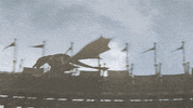 hbo GIF by Game of Thrones