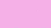 Pink Loop GIF by Beeby Animations