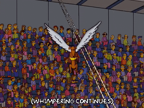 homer simpson dog GIF