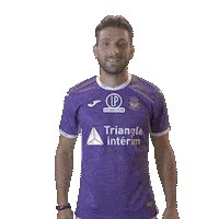 Soccer Stadium Sticker by Toulouse Football Club