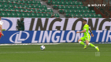 Fight Fighting GIF by VfL Wolfsburg