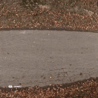Fast Car Motorsport GIF by FIA World Rally Championship