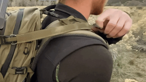 Zorpro giphygifmaker GIF