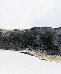 Look At Black Cat GIF