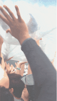 san francisco GIF