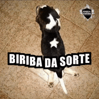 Sorte Bfr GIF