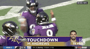 Baltimore Ravens Football GIF by NFL