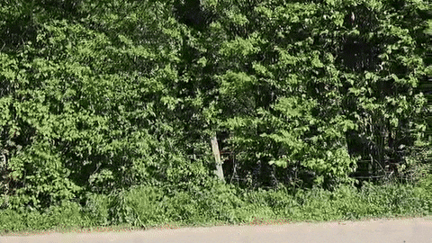 Auto Auf GIF by Die Linke Schwelm