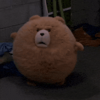 Ted 2 GIF by Respective